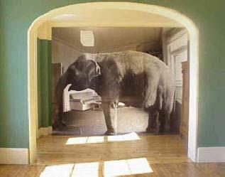 Talk about the elephant in the room Validate stress & anxiety about transitioning Identify potential fears