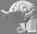 The primitive brain intelligent Trauma