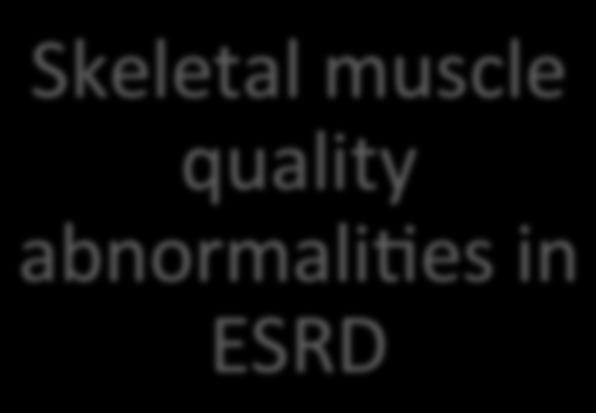 cross sec9onal area Reduced mitochondrial quality