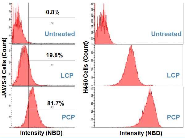 S-8 Fig. S5 In Vitro Cell Uptake of LCP Nanoparticles.