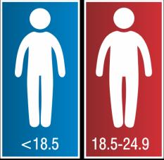 How to measure waist circumference: USE A TAPE MEASURE 1) Position the tape mid-way between the top of your hip bone and the bottom of the rib cage approximately over your navel.