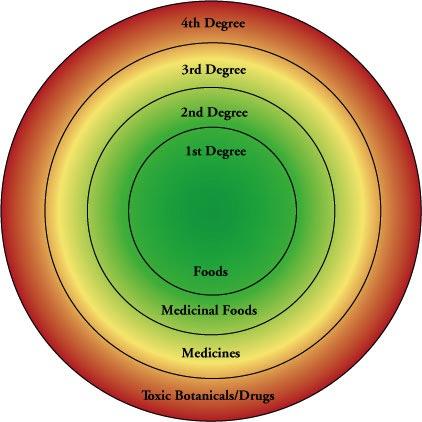 Degrees of Action 1st Degree Foods, consumed for fats, proteins, carbohydrates 2nd Degree Medicinal Foods, used for spices, seasoning 3rd Degree Medicinal Herbs, used for helping the body recover