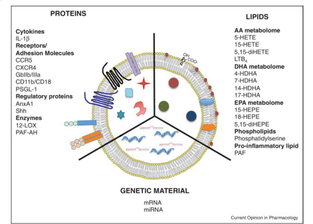 Defined cellular microparticles Having Key Roles in Chronic Health Management Morphogenic Cellular Particles including mrna and mirna work in conjunction with other cellular components to help