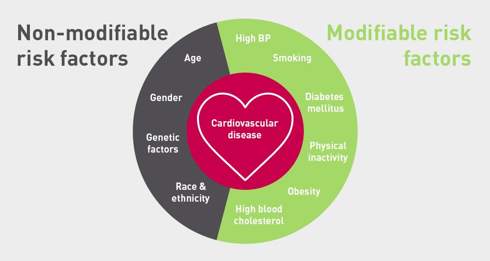 HRI: Heart Research Institute Risk Factors for Heart Disease Controllable Factors Cigarette smoking High blood pressure High blood cholesterol Being overweight Physical