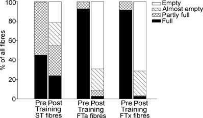 J Physiol 559.1 Effect of training on muscle oxygen uptake during dynamic exercise 339 The activity of CS was 38.0 ± 1.2 µmol g DW 1 min 1 in TL after training, which was 25 ± 10% higher (P < 0.