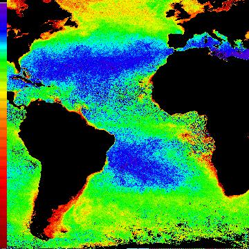 W English Channel Station L4. Phytoplankton pigments, PQE, F v /F m.65.6 LWSB.65.6 L4 all y =.87x.36 R = 5.4 5.4 = m (Fv/Fm) c Season m c R n p L4all:.87.36 5 36. LWSB:.7.46.78 <. LWSB SS:.88.5 9 <.