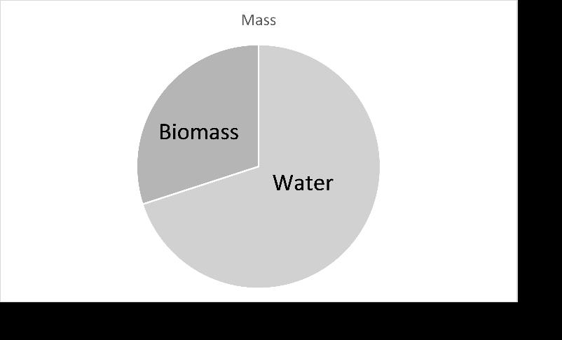 The weight of all the organic molecules is called the biomass. 2. This pie chart for a plant s mass shows that more than half of a plant s mass is.