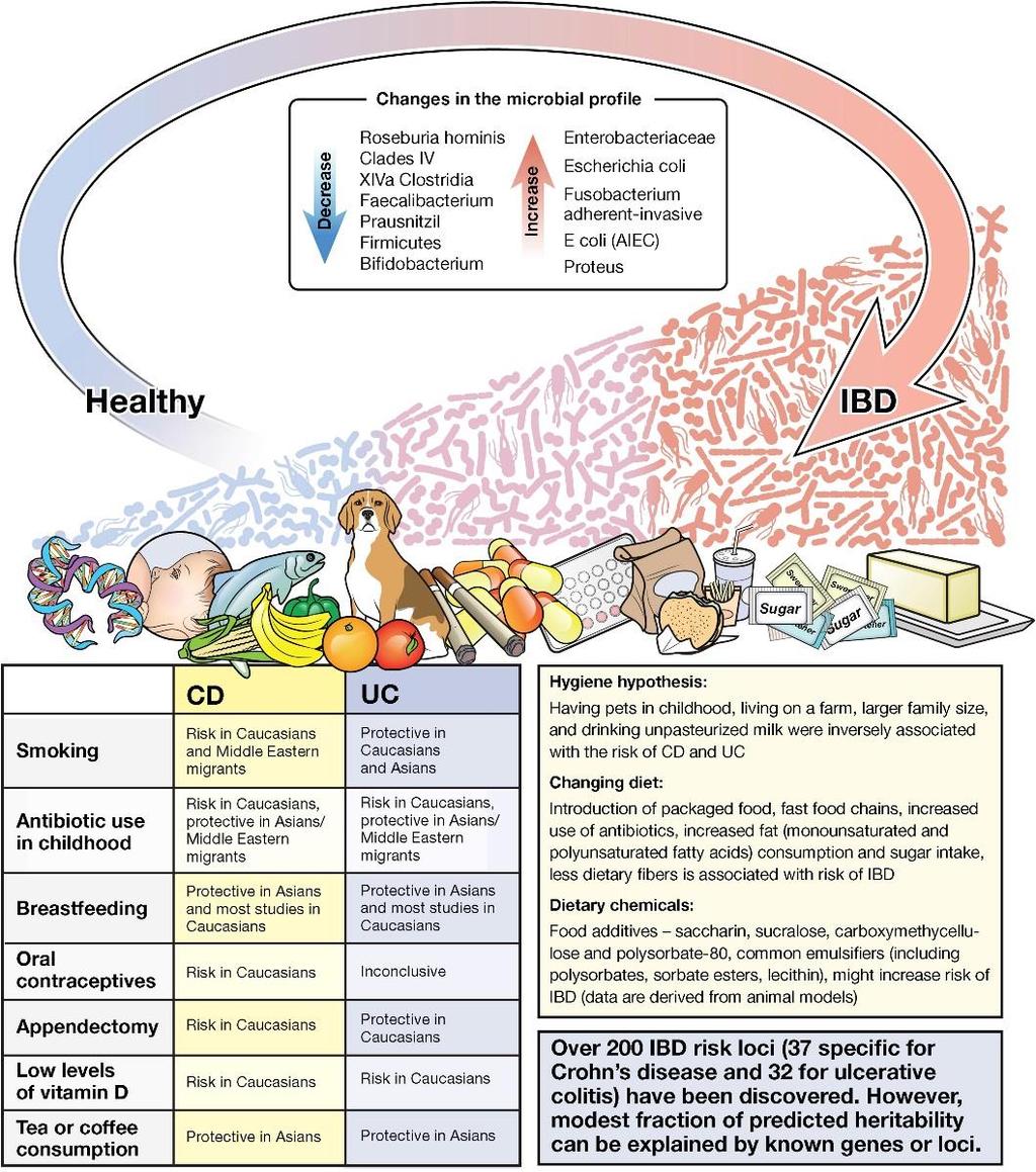 Figure 2 Environmental and Microbial Triggers for IBD Gastroenterology