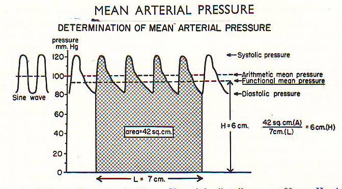 Mean arterial pressure