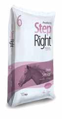 A blend of pellets and extruded kibbles allows easy consumption by senior horses, even those with dental issues.