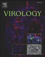 Virology () Contents lists available at ScienceDirect Virology journal homepage: www.elsevier.