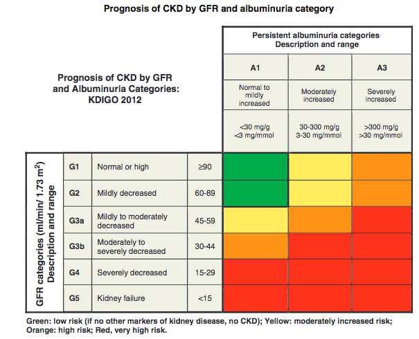 Risk stratification Is testing for albuminuria enough?