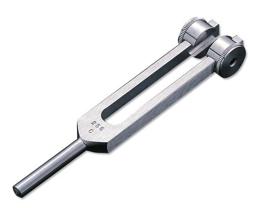 vibration tuning fork as seen in Fig. 2.5.
