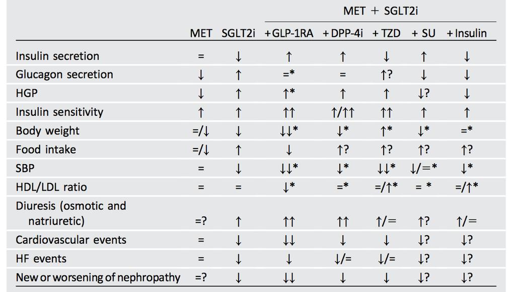 Expected and demonstrated net effects in combination therapy with SGLT2is in T2DM All combined effects are expected effects based on