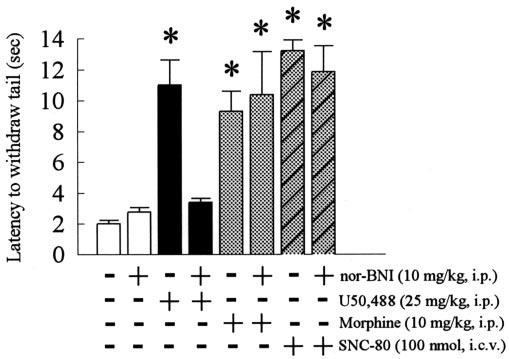 On the second day, 30 min after administration of the second dose of nor-bni, mice were administered the opioid-selective agonists U50,488 (25 mg/kg, i.p., for the receptor), morphine sulfate (10 mg/kg, i.