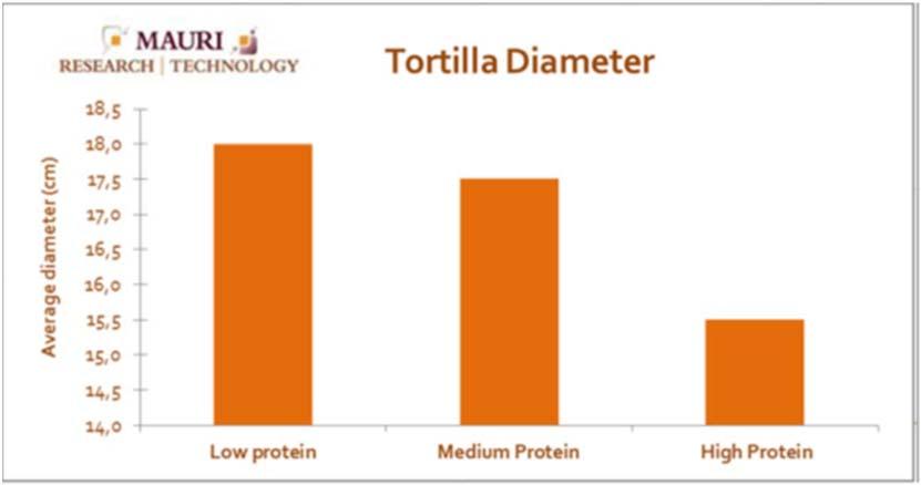 Tortilla Size and Shape Importance of Gluten Quality Strong flour tend to produce tortillas