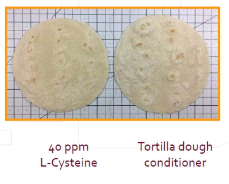 Tortilla Size and Shape By modifying gluten