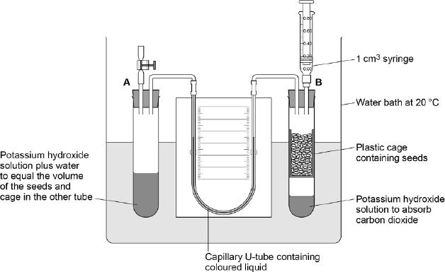 [Extra space]... (4) (Total 9 marks) Q4.The figure below shows the apparatus used for measuring the rate of oxygen consumption in aerobic respiration by seeds.