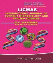 of Microbiology, SPMC Bikaner, Rajasthan, India *Corresponding author A B S T R A C T K e y w o r d s Otomycosis, Fungus, External auditory meatus.