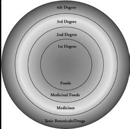 Degrees of Action 1st Degree Foods, consumed for fats, proteins, carbohydrates 2nd Degree Medicinal Foods, used for spices, seasoning 3rd Degree Medicinal Herbs, used for helping