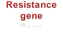 For the gene The presence of a resistance gene makes a difference to