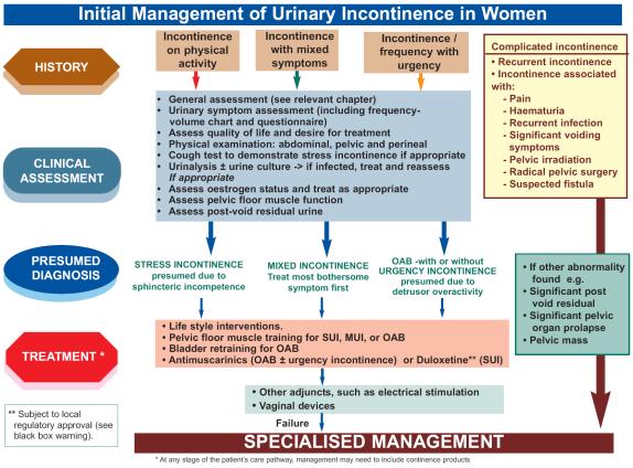 Neurourol Urodyn 2002;21:167-78 Urgency ± UUI OAB Nocturia Frequency ICS: International Continence Society; UUI: urgency urinary incontinence No proven