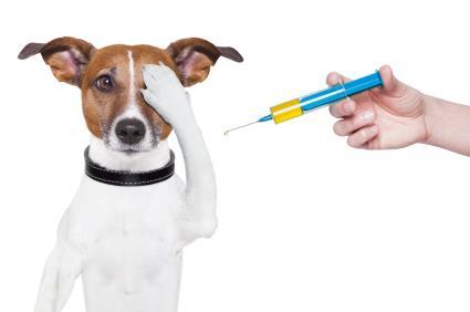 Importance of veterinary vaccines Allow safe and efficient food production Control of zoonotic diseases Control of emerging and exotic diseases of animals and people - Eradication of Rinderpest