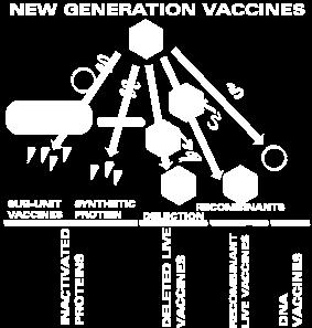 approaches Second-generation vaccines Advances in technology led to second generation vaccines Tissue culture systems (viral vaccines)