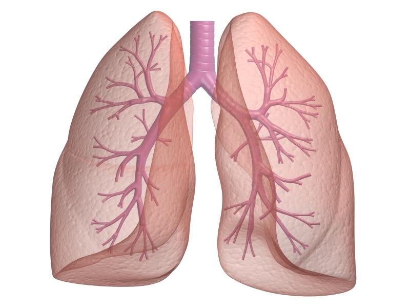 CF Treatments Lung transplantation For end-stage lung disease Risk of rejection Weight criteria for