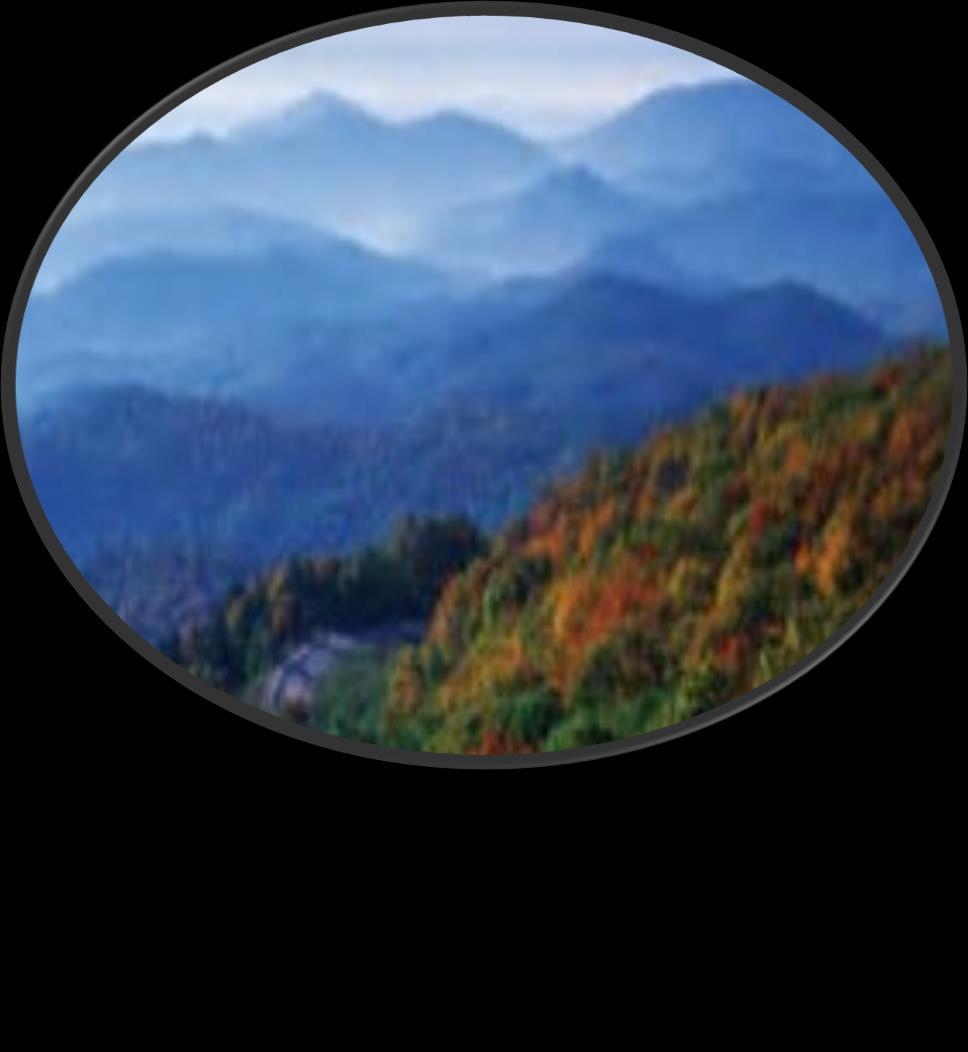 Blue Ridge Mountains In Review: 2014 PACE Preventive Care Guidelines provide relevant diagnostic