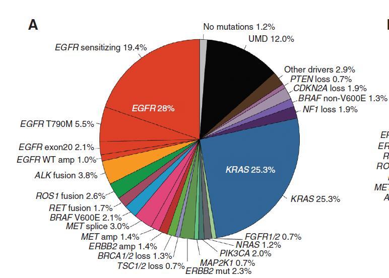 Landscape of Lung Cancers by NGS XXX XXX