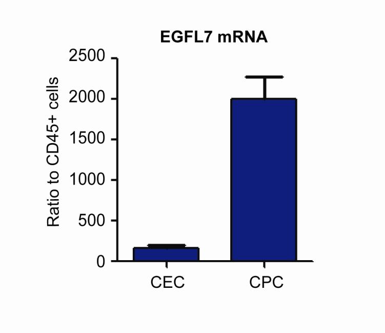 Biomarkers of Anti-EGFL7 Activity: Circulating Progenitor Cells (CPCs) Circulating Progenitor Cells (CPCs): CD34 Hi CD31 Low CD45 Low Differentiate into