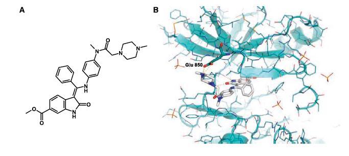 BIBF 1120* inhibits VEGFR, PDGFR and FGFR In vitro Potent inhibitor of VEGFR, FGFR and PDGFR in enzymatic and cellular assays VEGFR 1 / 2 / 3 PDGFR α / FGFR 1 / 2 / 3 IC 50 /