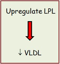 Raise HDL Because fibrates upregulate LPL via PPAR, they should be considered specialists in