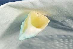 IMPORTANT: Prior o the application of the VITAVM 9 materials, modelling liquid (VITAVM MODELLING LIQUID) must be applied onto the milled restorations to achieve