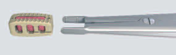 Surgical Technique 6 Insert implant Instruments 381.103 Implant Holder 389.288 Cancellous Bone Impactor for Travios and Plivios, 822.5 mm 394.579 Cancellous Bone Impactor Optional instruments 389.