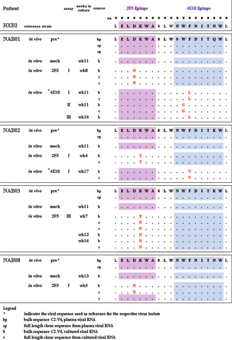 FIG. 5. Overview of sequence changes in isolates selected for resistance to 2F5 and 4E10.