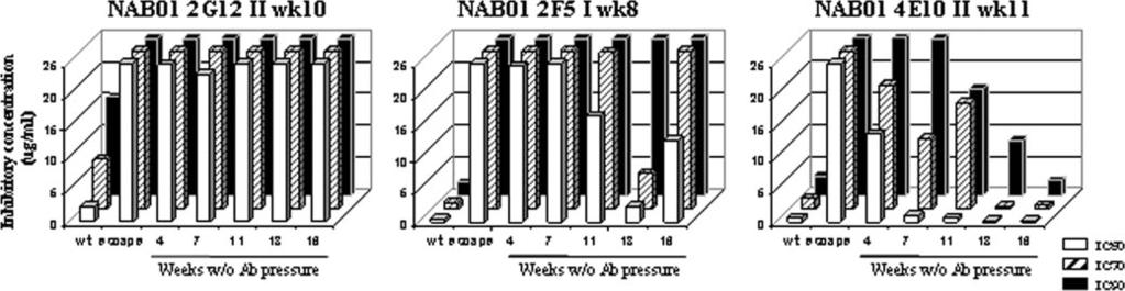 VOL. 81, 2007 ESCAPE FROM NEUTRALIZING ANTIBODIES 8805 FIG. 8. Stability of escape mutations without (w/o) antibody (Ab) pressure.
