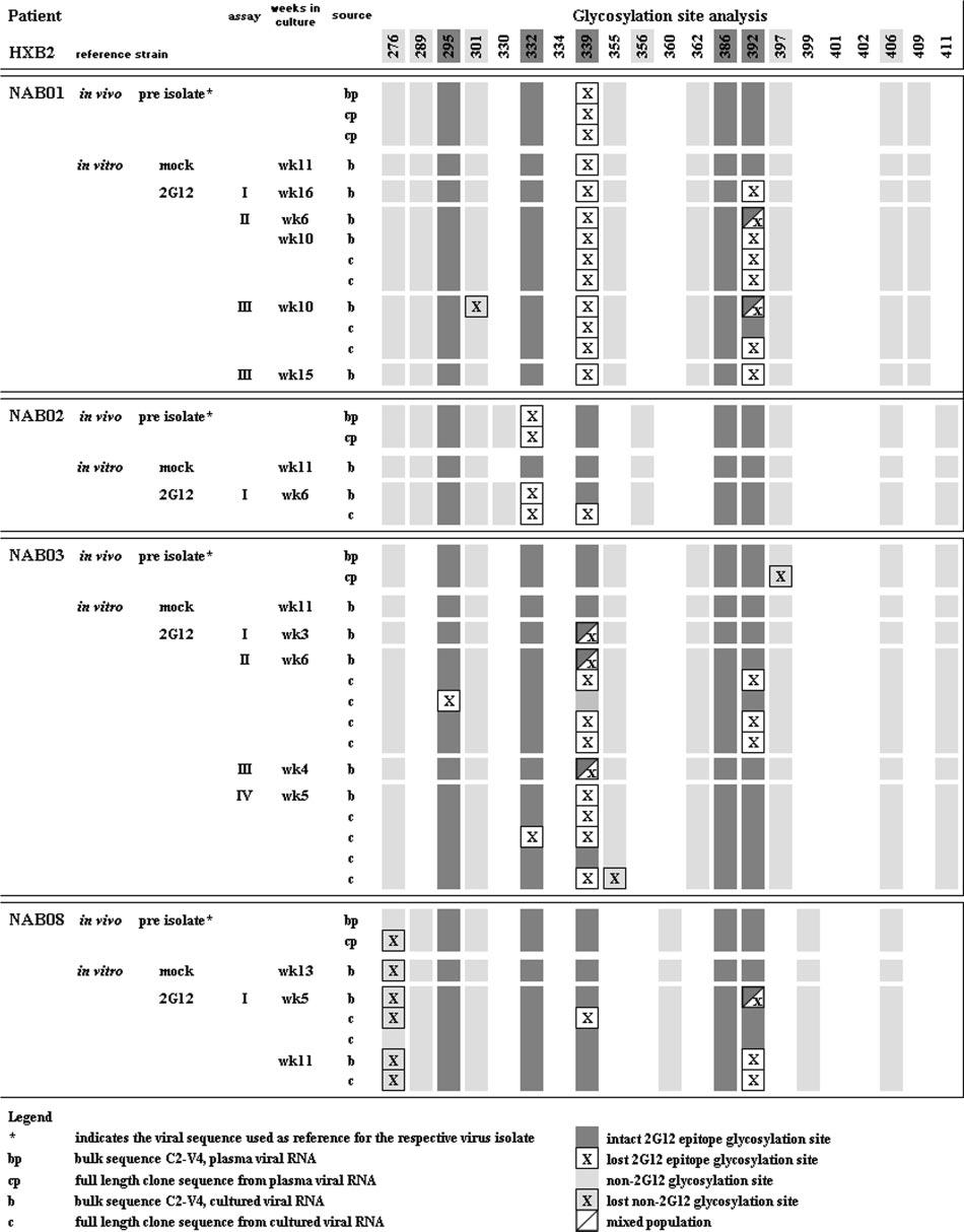 VOL. 81, 2007 ESCAPE FROM NEUTRALIZING ANTIBODIES 8801 FIG. 4. Overview of sequence changes within the C2-to-V4 region of isolates selected with 2G12 in vitro.