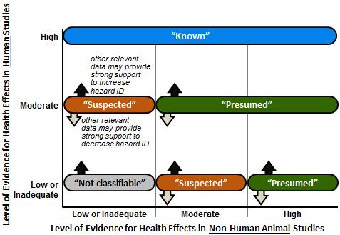 When the data support a health effect, the level-of-evidence conclusion for human data from Step 6 is considered together with the level of evidence for non-human animal data to reach one of four