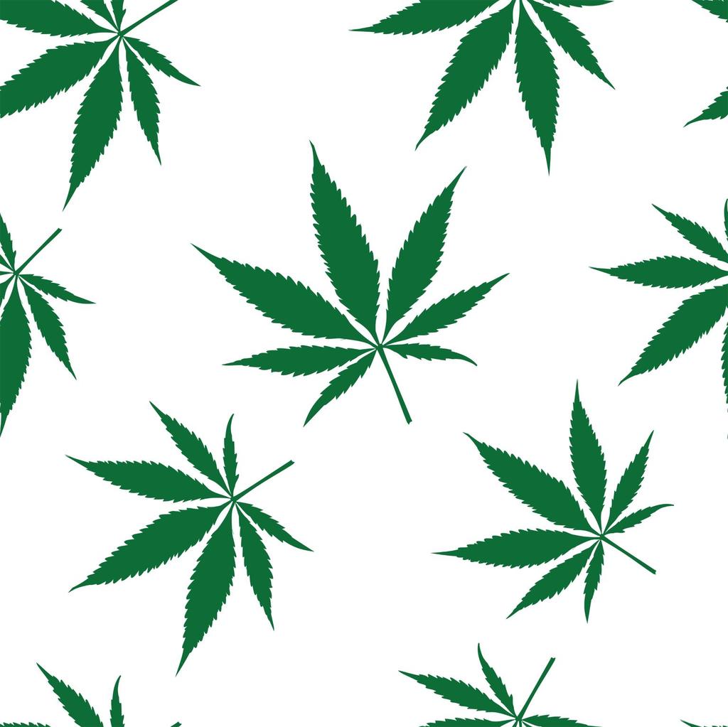 Legalized Marijuana and Youth A