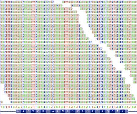 Hybridization Capture ~50 20,000 genes Library fragments Custom capture probes B B B B B B B B B B