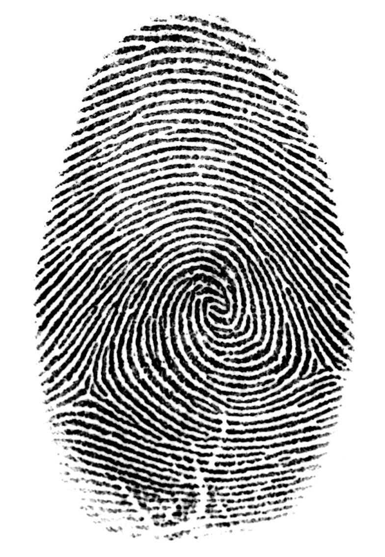 Fingerprint Overview Exemplar Prints Taken on