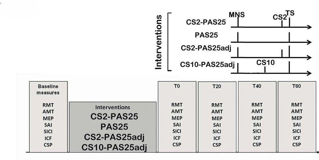 Chapter 2. SICI blocks LTP induced by PAS 52 Figure 2.1: Study timeline.