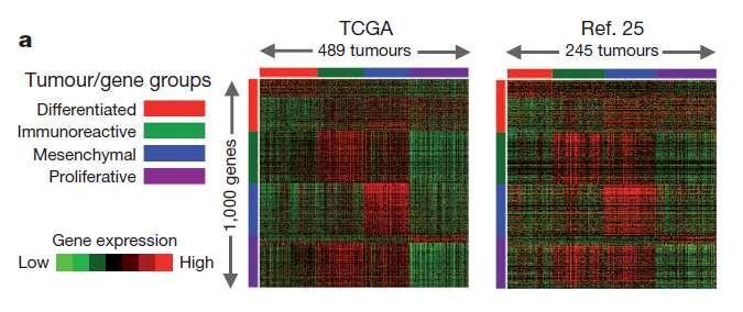 Molecular Classification of HGS Ovarian Cancer TCGA Tothill, et al The Cancer Genome The Atlas Cancer Research Genome