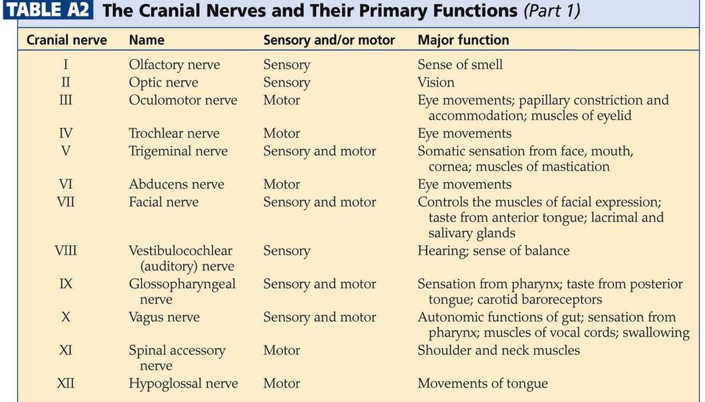Cranial nerves From:
