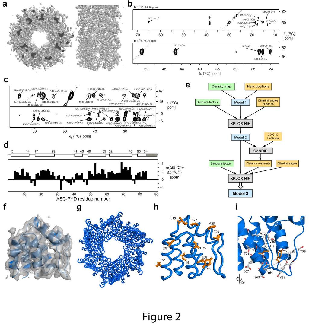 Protocol for hybrid structure determination cryo-em solid