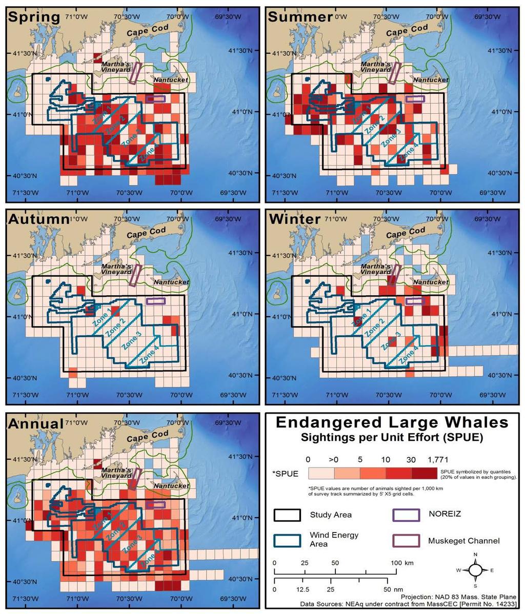 Seasonal Patterns for Endangered Large Whales Different seasonal patterns (from Kraus et al. 2016.