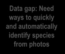 php Data gap: Need ways