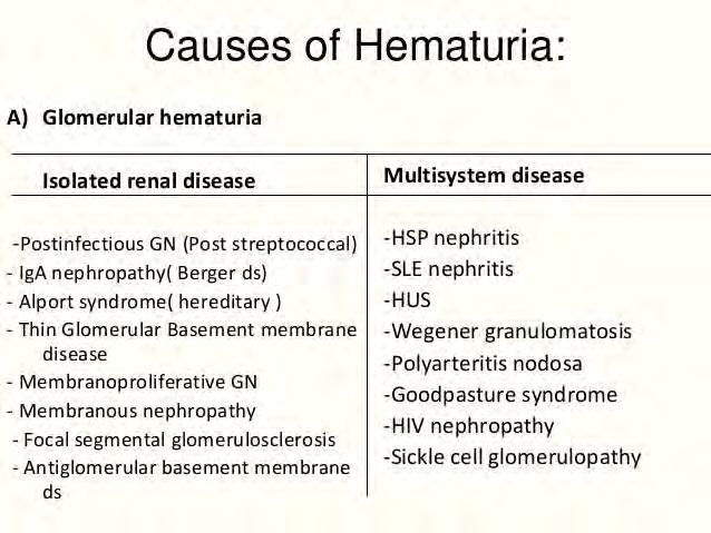 Glomerular Hematuria Immune & Non-Immune mediated Isolated Kidney Disease *Post-infectious GN *IgA nephropathy *Alport s syndrome